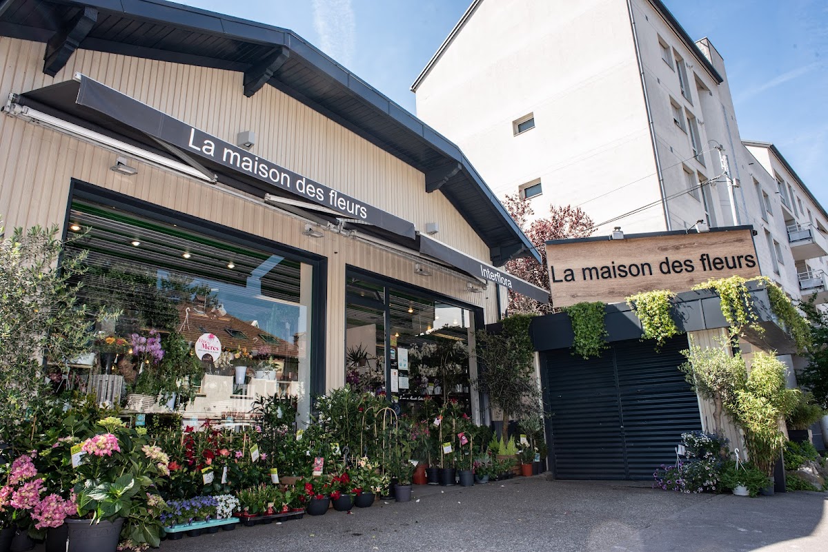 House of Flowers