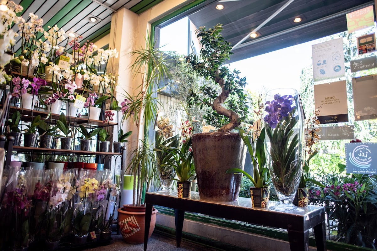 House of Flowers - photo 3
